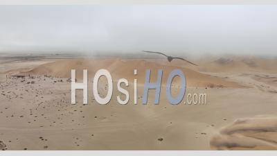 Dune 7, Un Groupe Sur Les Dunes De Sable à Walvis Bay, Namibie - Vidéo Par Drone