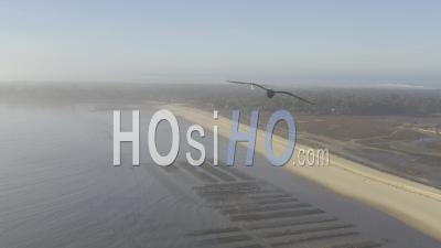Vue Drone De Lège Cap Ferret, Dans La Brume Matinale Les Conques Et Les Parcs À Huîtres