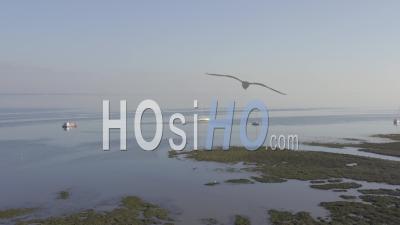 Vue Drone De Lège Cap Ferret, Bateaux Entre Ciel Et Eau