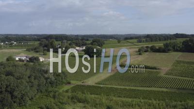 Drone View Of The Bordeaux Vineyard, Vineyard In Fronsadais