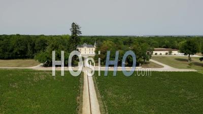 The Prestigious Chateau Lynch Moussas, Aoc Pauillac, Bordeaux Vineyard, Medoc - Video Drone Footage