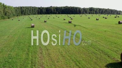 Drone View Of An Agricultural Field With Yellow Round Large Bales After Harvesting. 
