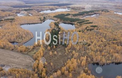 Aerial View Of Autumn Forest And Lakes. Shot From Drone.