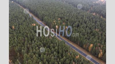 Aerial View Of Countryside Road Passing Through The Autumn Forest. Captured From Above With A Drone.
