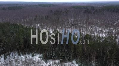 Flying Above Winter Forest In A Snowing Day. - Video Drone Footage