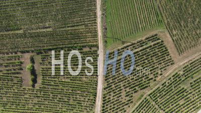 Vue De Dessus Du Paysage Vignoble En Alsace - Vidéo Par Drone