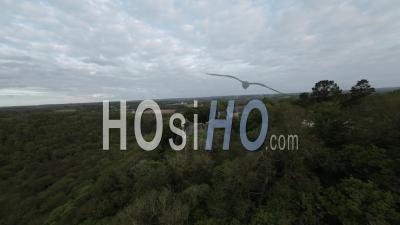 Chapelle Sainte Barbe Au Milieu De La Forêt - Vidéo Par Drone