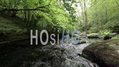Rivière De La Forêt Enchantée De Huelgoat - Vidéo Par Drone