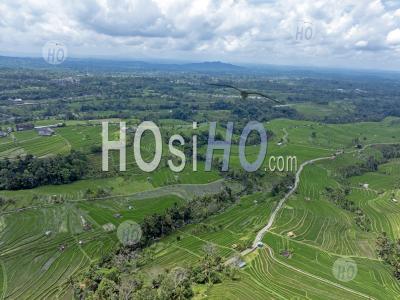 Jatiluwih Rice Terraces, Tabanan, Bali, Indonesia - Aerial Photography