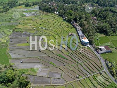 Abang Rice Terraces, Near Lempuyang Temple, With Agung Volcano, Bali, Indonesia - Aerial Photography