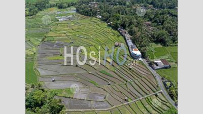 Abang Rice Terraces, Near Lempuyang Temple, With Agung Volcano, Bali, Indonesia - Aerial Photography