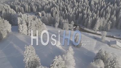 Forêt Gelée – Vidéo Prise Par Drone