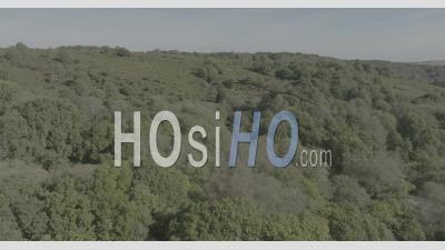 Moors Of Liscuis, Brittany, France - Video Drone Footage