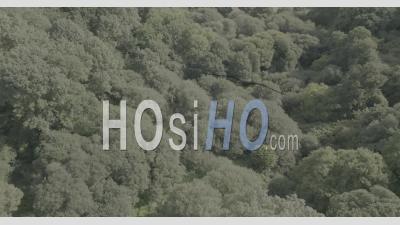 Brook Near Plouguernevel, Brittany, France - Video Drone Footage