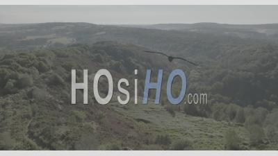 Moors Of Liscuis, Brittany, France - Video Drone Footage