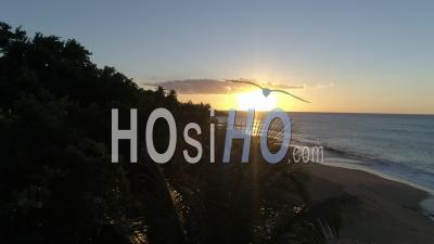 Coucher De Soleil à Deshaies Avec Silhouette De Palmier, Guadeloupe - Vidéo Par Drone