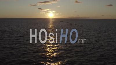 Coucher De Soleil Doré Au-Dessus De La Mer à Deshaies, Guadeloupe - Vidéo Par Drone