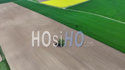 Alsatian Fields In Spring - Video Drone Footage