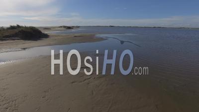 Piemanson Beach In The Camargue - Video Drone Footage