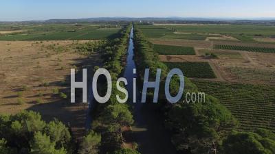 Pine Trees Bordering The Canal Du Midi - Video Drone Footage