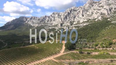 Vineyards And Mont Sainte-Victoire Mountain, Puyloubier, Provence, France - Video Drone Footage